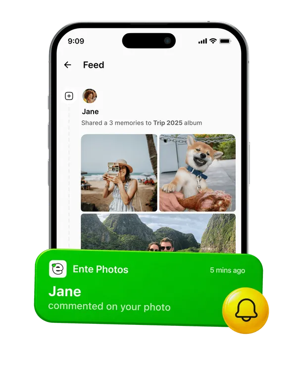 A space to see what your friends and family are up to