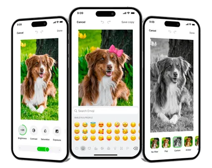 Advanced image editor on Ente Photos