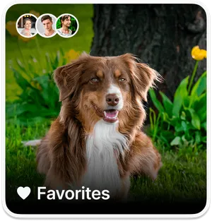 Sharing your Favorites on Ente Photos