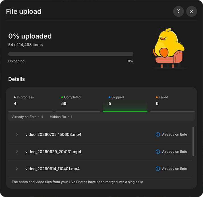 Skipped files grouped by reason